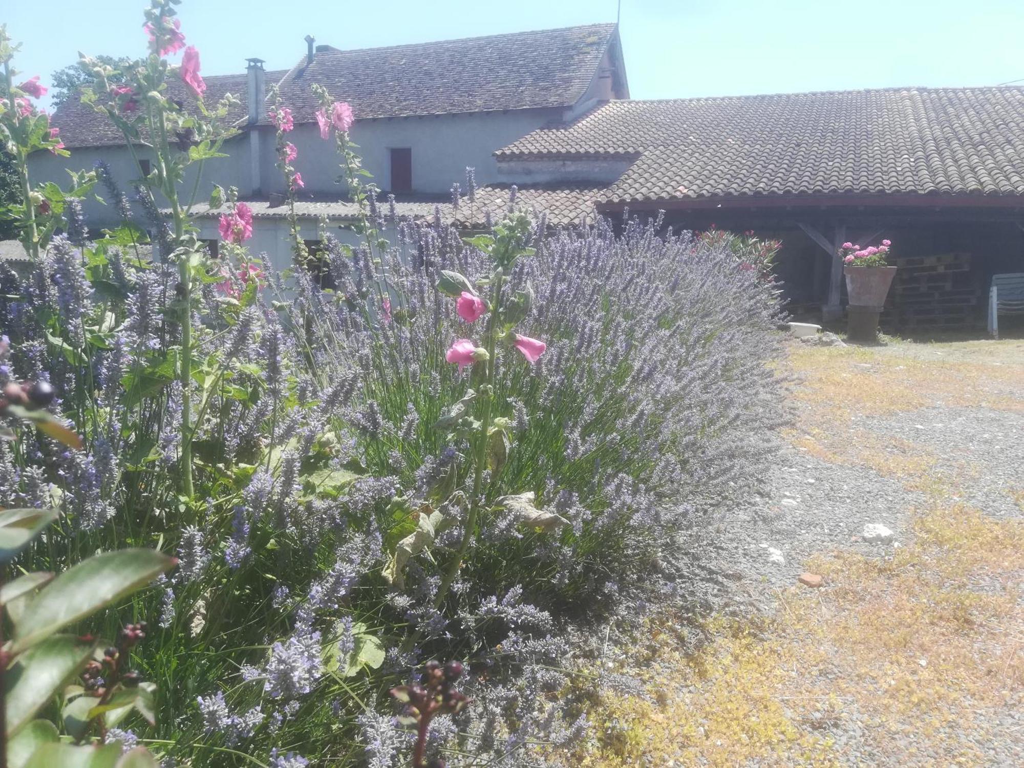 Les Vignes Villa Pomport Buitenkant foto