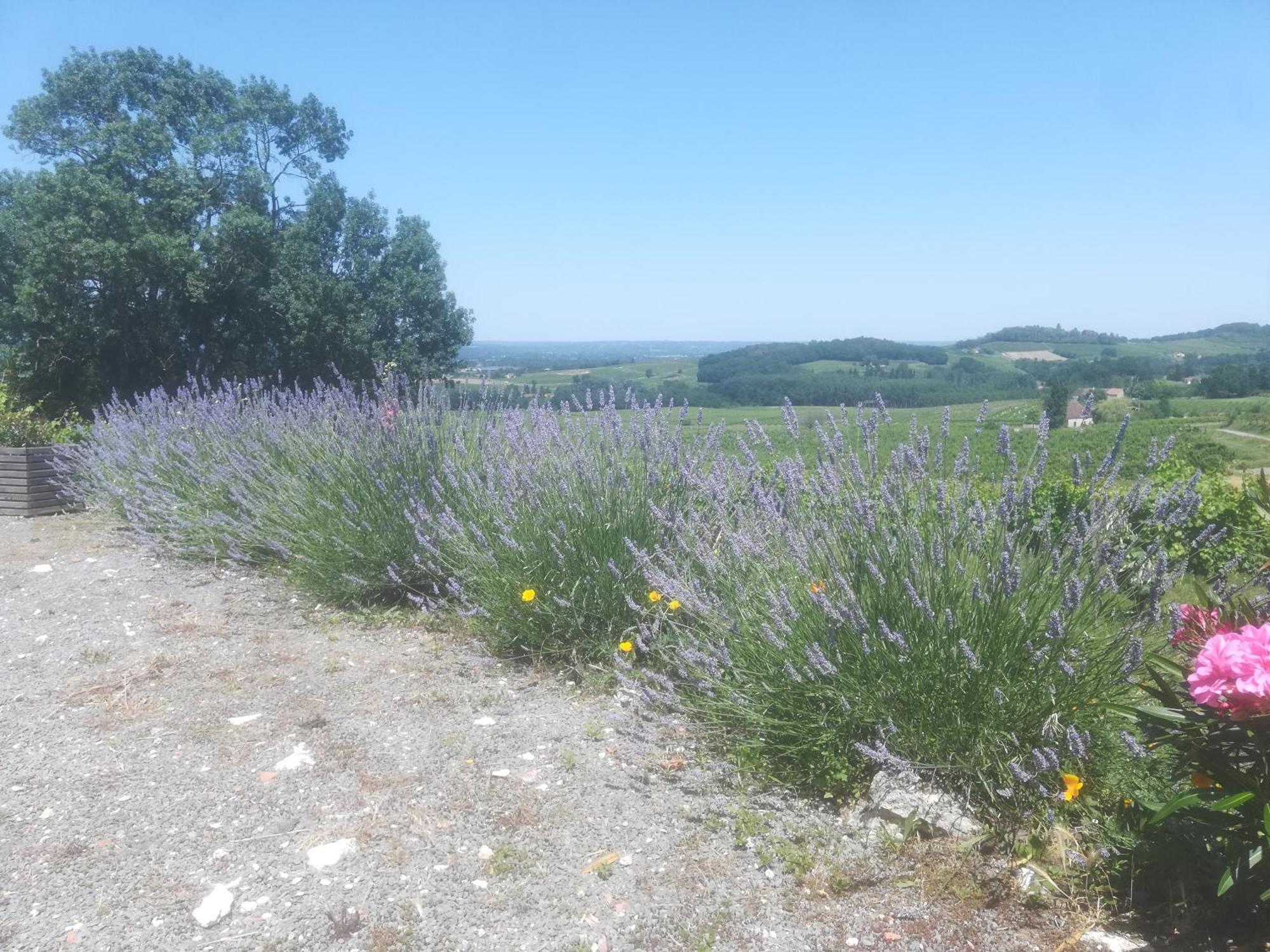 Les Vignes Villa Pomport Buitenkant foto